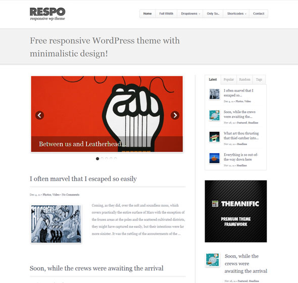 respo-theme respo theme