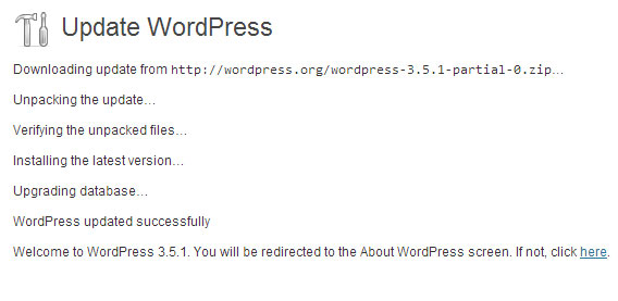 guide on automatic updating wordpress