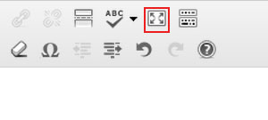 fullscreen editor wordpress