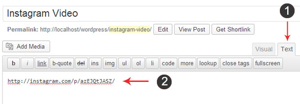 instagram-video-embed